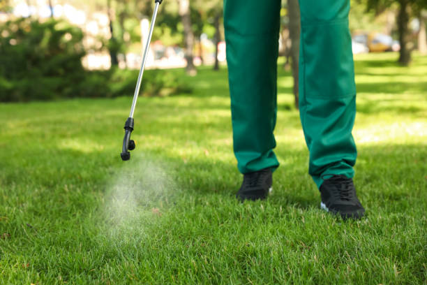 Best Flea Control Services  in Latta, SC