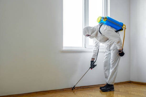 Best Pest Prevention Services  in Latta, SC
