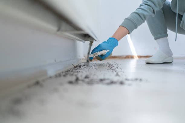 Pest Prevention Services in Latta, SC